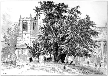 Snitterfield kirke, Snitterfield, Warwickshire, 1885.
