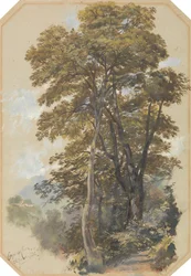 Corpo di Cava, 28. juni 1838