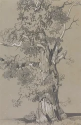 Parham, 13. oktober 1834