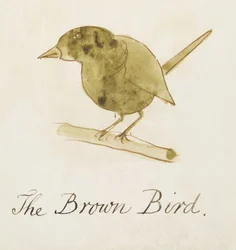 The Brown Bird, fra seksten tegninger af tegneseriefugle (pen & blæk wc på papir)