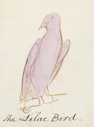 The Lilac Bird, fra seksten tegninger af tegneseriefugle (pen & blæk wc på papir)