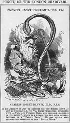 Charles Darwin, Punchs fancy portrætter, nr. 54, illustration fra 