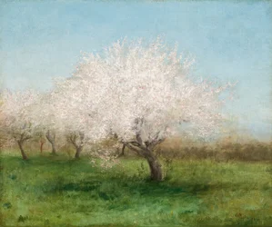Æbletræer i en eng 1890 (Olie på lærred)