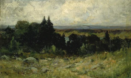 Uden titel (landskab, marker med sten og træer)