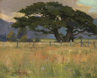 En eng under bjergene, 1897