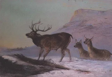 Vinter (pastel)