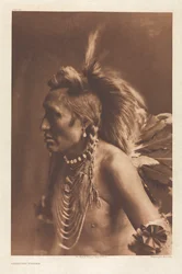Portfolio VI, Plade 194: Gambler - Piegan