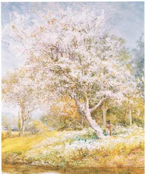 Indsamling af blomster, fra magasin eller bogkilde ukendt (farve litho)