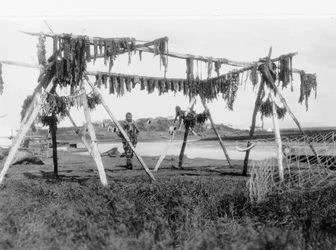 En eskimomand stående under en struktur med hvalkød hængende til tørre, ca. 1929 (s/h-foto)