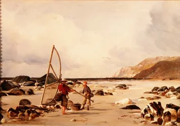 Rejer på en strand