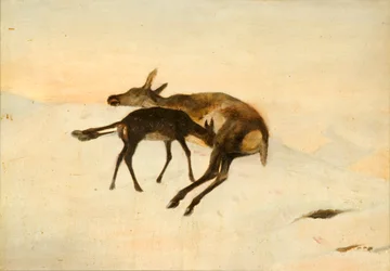 Et tilfældigt skud (olie om bord)