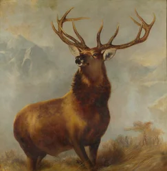 Monarch of the Glen (olie på lærred)