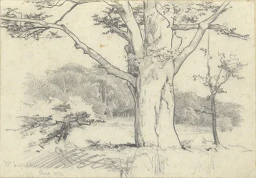Nr. Lyndhurst, august 1871