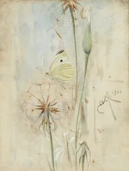 Sommerfugl og Thistledown (akvarel)