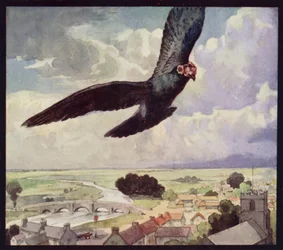 En brevdue på vingen (farve litho)