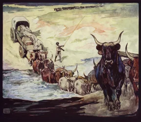 Okser krydser floden i Sydafrika (farve litho)