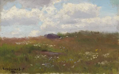 Eng med sommerblomster