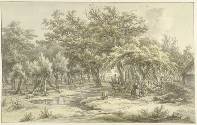 Landskab nær Eext (Drenthe)