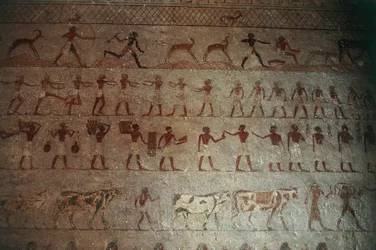 Beni Hasan-nekropolen. Amenemhats grav, detalje: vægmalerier med jagtscener og landliv