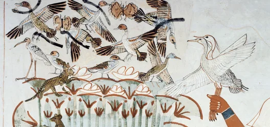 Ænder, reder, sommerfugle, katte og gnavere, detaljer fra scenen for jagt og fiskeri i marsken, fresco, nordvæg, langsgående kammer, Theban Tomb TT69, Sheikh Abd el-Qurna, Theben. Egyptisk civilisation, New Kingdom, Dynasti XVIII.