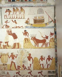 Egypten, Theben, Luxor, Sheikh 