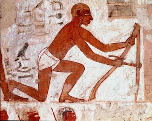 Egyptisk kunst: Rekhmires grav. Ploucher arbejde med sit landbrugsredskab. Fresko af Luxor (Thebens sted, Sheikh Abd al-Gournahs nekropolis (Gournah), Nilens venstre bred, Egypten. - Det gamle Egypten: Rekhmires grav. En plovmands arbejde med sin agri