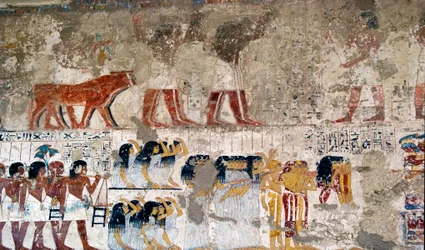 Egyptisk antikviteter: "Fresko af vizir Ramoses grav (18. dynasti). Luxor, vestbredden, de adeliges dal Egypten - Det gamle Egypten: offerbærere og sørgende. Fresko fra vesiren Ramoses grav (18. d