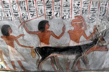 Egyptisk antikvitet: karakterer, der leder betailhoveder. Maleri af Roys grav (TT255). 18. dynasti. Fra Vestbredden af Luxor, Egypten