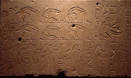 Egyptisk antikvitet: detalje af en indgraveret fresco, der forestiller dansere, kontorionister og musikere. Periode med dronning Hatshepsut (Hatshepsut) 18. dynasti. Luxor, egyptisk kunstmuseum