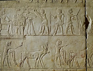 Egyptisk antikvitet: scener med arbejde på markerne og ofringer til faraoen. Detalje af et relief fra graven af Horemhed (ca. 1323-1293 f.Kr.) kongelig skriver af Tutankhamon. 1354-1326 f.Kr. Bologna, Civico Museo Archeologico