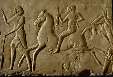 Egyptisk antikvitet: "" kriger til hest"" Relief fra en grav af en høj dignitær. 1354-1346 f.Kr. 18. dynasti. Bologna, Civico Museo Archeologico