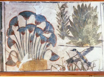 Maleri forestillende and mellem planter, fra Akhenatons palads, El-Awara, Egypten