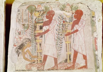 Forberedelse af to mumier til rensningsceremonien fra Merymaats grav, New Kingdom (vægmaleri)
