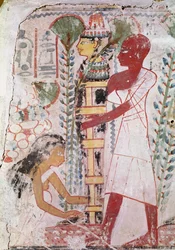 Forberedelse af en mumie til en renselsesceremoni fra en grav i Theben, New Kingdom (vægmaleri)