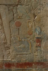 Relief forestillende Horus, gudinden Hathors kapel, fra Hatshepsuts lighustemplet (ca. 1503-1482 f.Kr.) New Kingdom (malet kalksten)