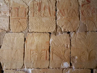 Vegetation, detalje af scene, der skildrer ekspeditionen til landet Punt, malet relief, kolonnade i Punt, Hatshepsuts gravtempel, Deir el-Bahari, thebansk nekropolis (Unescos verdensarvsliste)