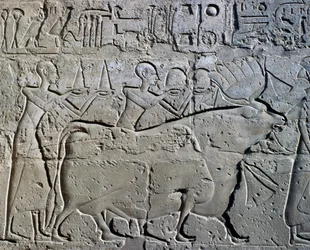 Figurer, der symboliserer minedistrikter, der bringer deres hyldest til gud, relief, Ramesses II Courtyard, Amun-templet (Unescos verdensarvsliste)