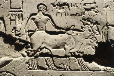 Det gamle Egypten, Luxor, Luxor-templet, Ramses II