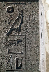 Hieroglyf med Horus