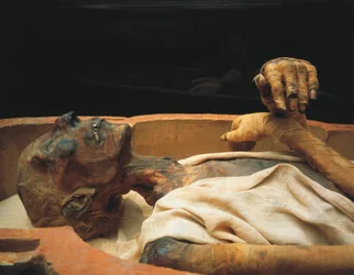 Mumie af Ramses II, detalje