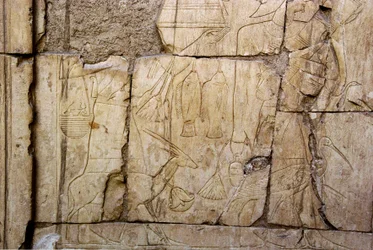 Ægyptisk antikvit: relief, der forestiller bærere af offergaver. Ankh-Hors (Ankh Hor) grav (TT414) (26. dynasti, 672-525 f.Kr.), Luxor (Theben), Egypten.