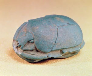 Skarabæ fra en mumies halskrans, sen periode, ca. 600 f.Kr. (blå glaspasta)