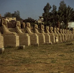 Avenue of Sphinxes, tilføjet af Nectanebo I (380-362 f.Kr.) Sen periode