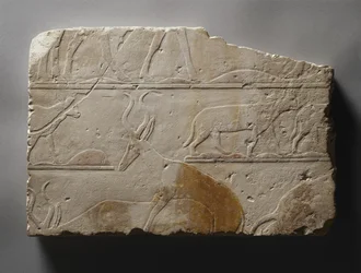 Relief med ørkendyr, Old Kingdom, fundet ved Saqqara, ca. 2472-2455 f.Kr. (malet kalksten)