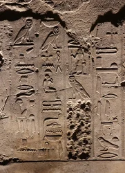 Hieroglyffer. Luxor-templet (relief)