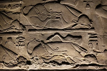 Luxor-templet: Ofrede køer (relief)