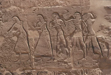 Relief af skriver og fange i Ramses III