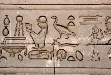 Egyptisk antikvitet: hieroglyffer på den østlige mur af Hathor-templet, Denderah, Egypten - Egyptisk civilisation: hieroglyffer udskåret på væggen af Hathor-templet (eller Tentyra-templet) i Denderah, bygget under Pepi I