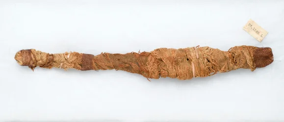 Mumie af en krokodille, fundet i Manfalont, 305-30 f.Kr. (dyrerester og linned)
