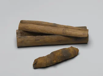 Lille kiste af slange, med mumie, 664 BC-322 BC (træ, dyrerester og linned)